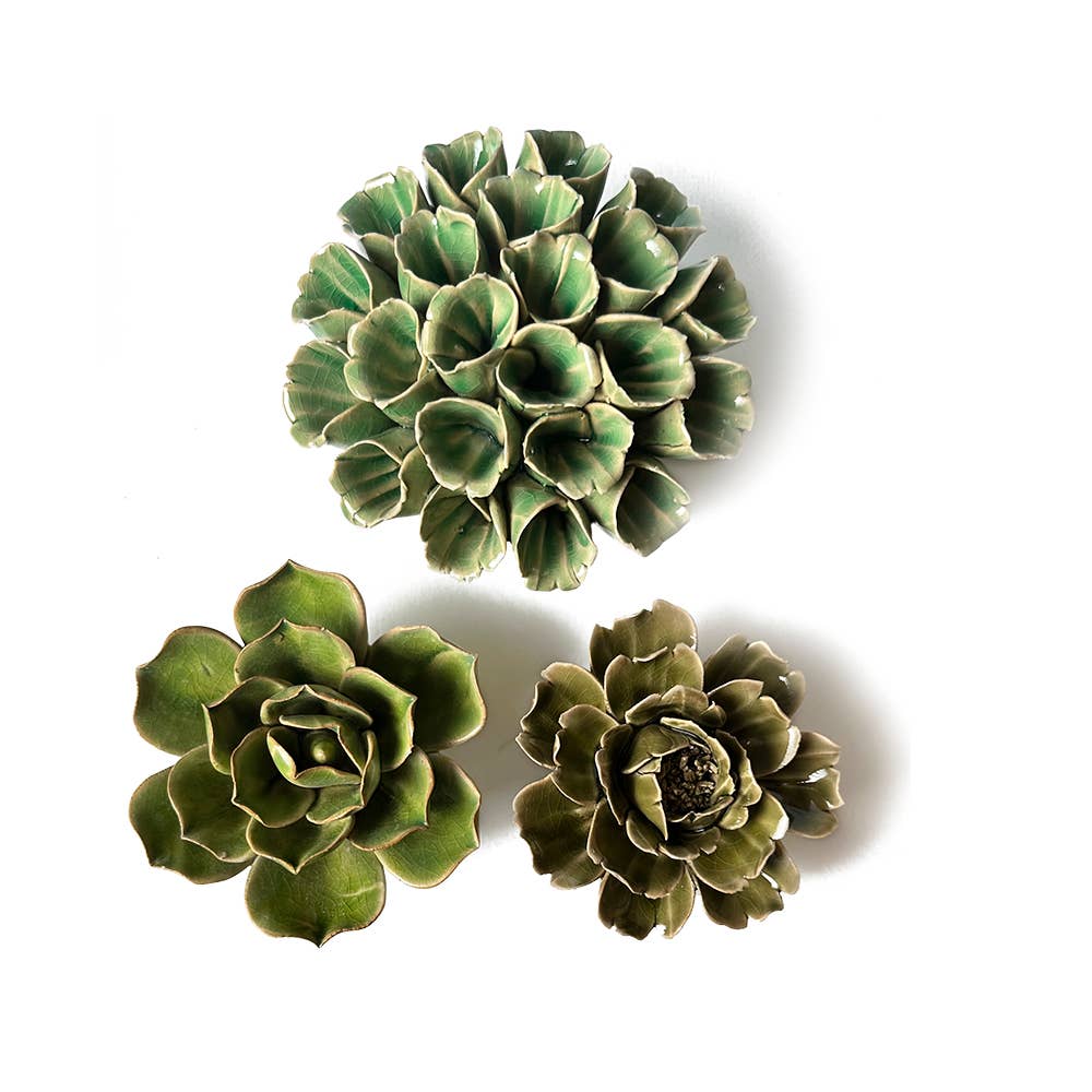 Ceramic Faux Succulents - Flower Gift Box Sets: Day