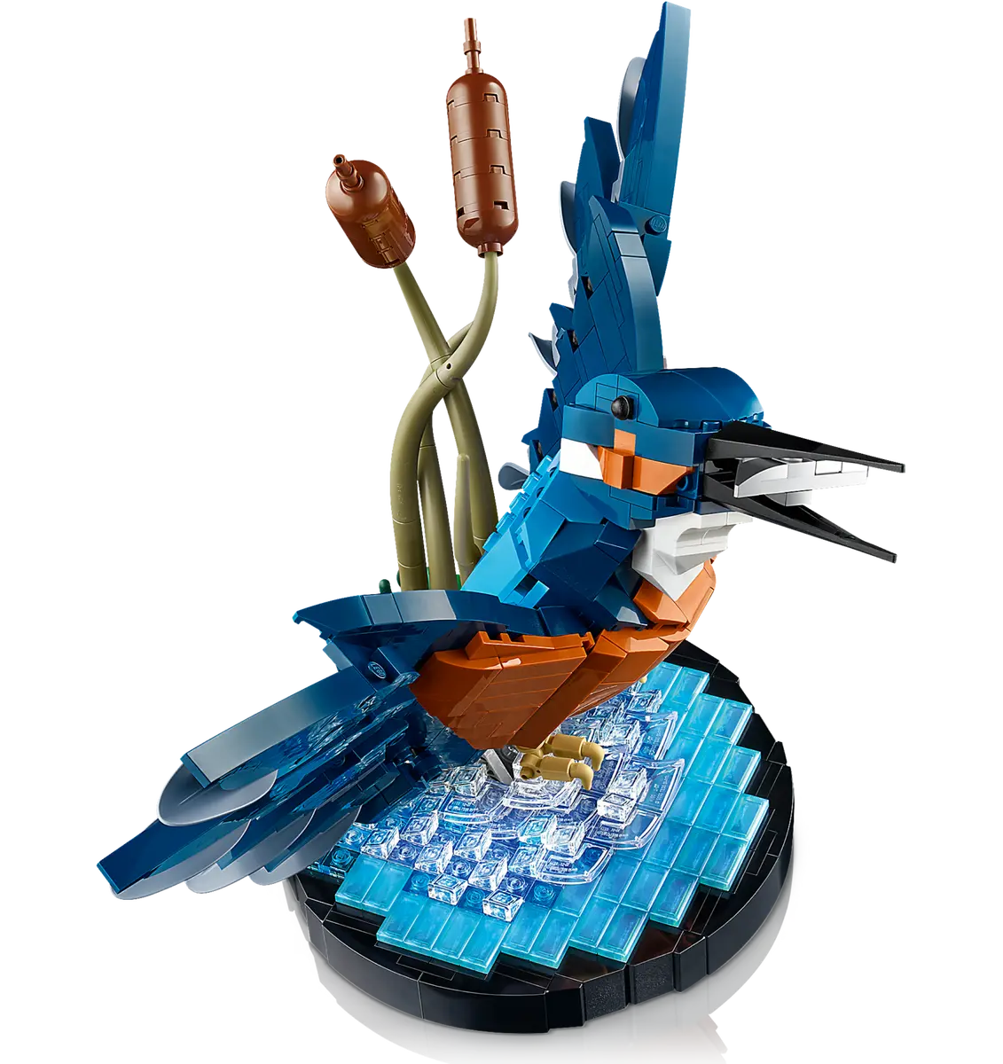 ICONS 10331: Kingfisher Bird