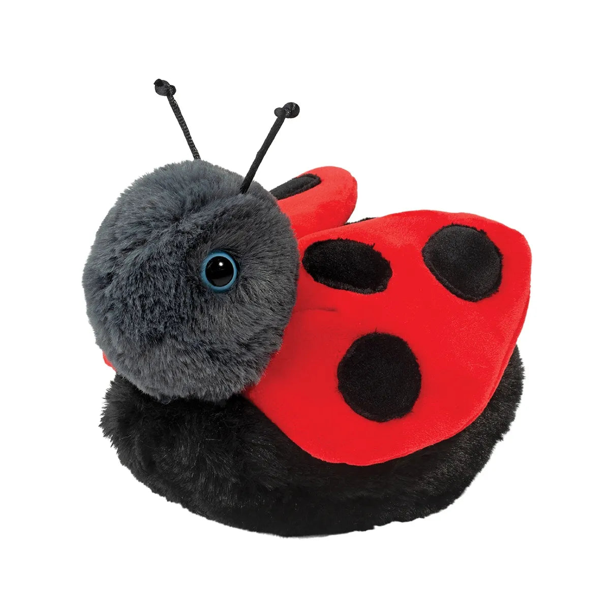 Lovebug Ladybug