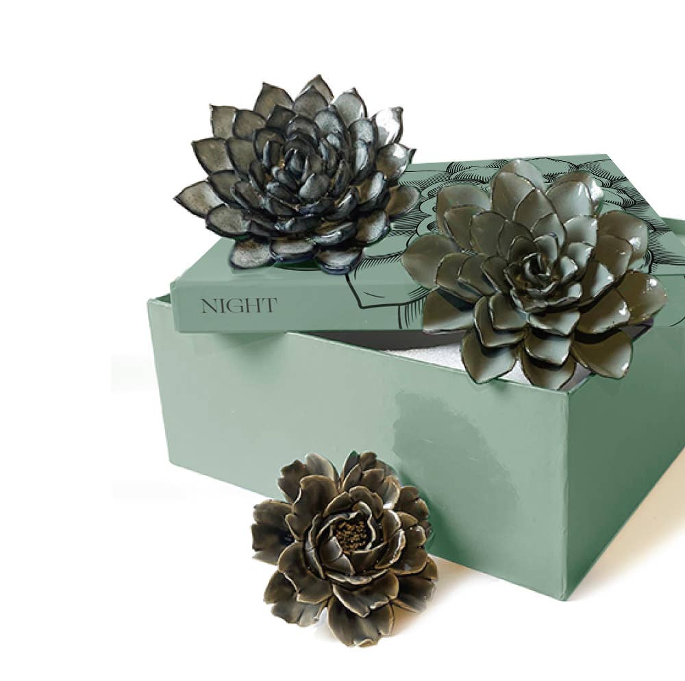 Ceramic Faux Succulents - Flower Gift Box Sets: Day