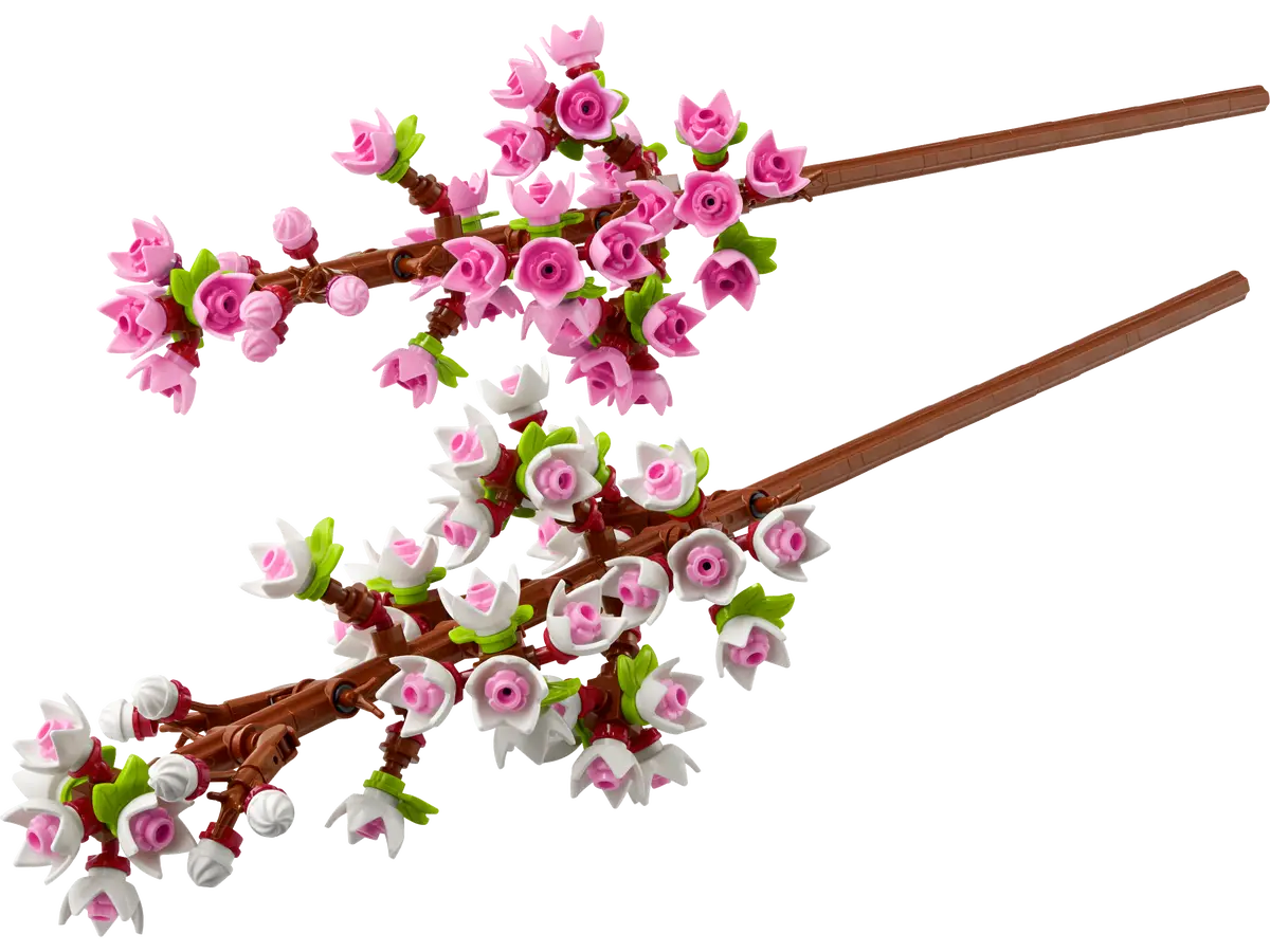 BOTANICAL COLLECTION 40725: Cherry Blossoms