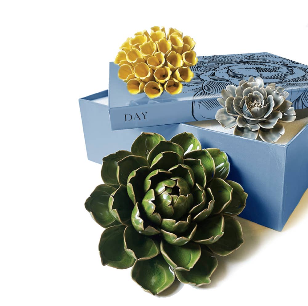 Ceramic Faux Succulents - Flower Gift Box Sets: Day