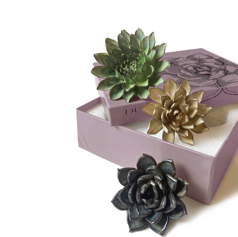 Ceramic Faux Succulents - Flower Gift Box Sets: Day