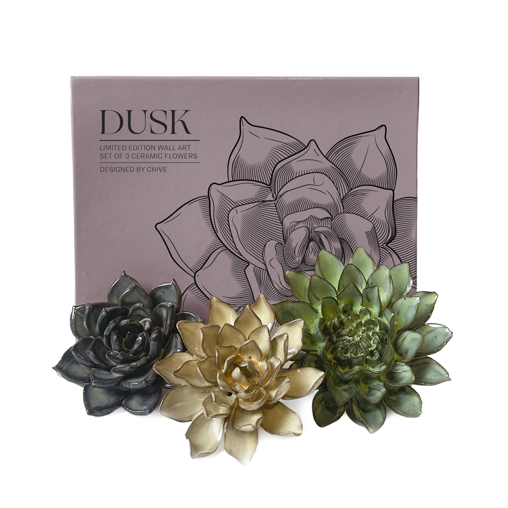 Ceramic Faux Succulents - Flower Gift Box Sets: Day