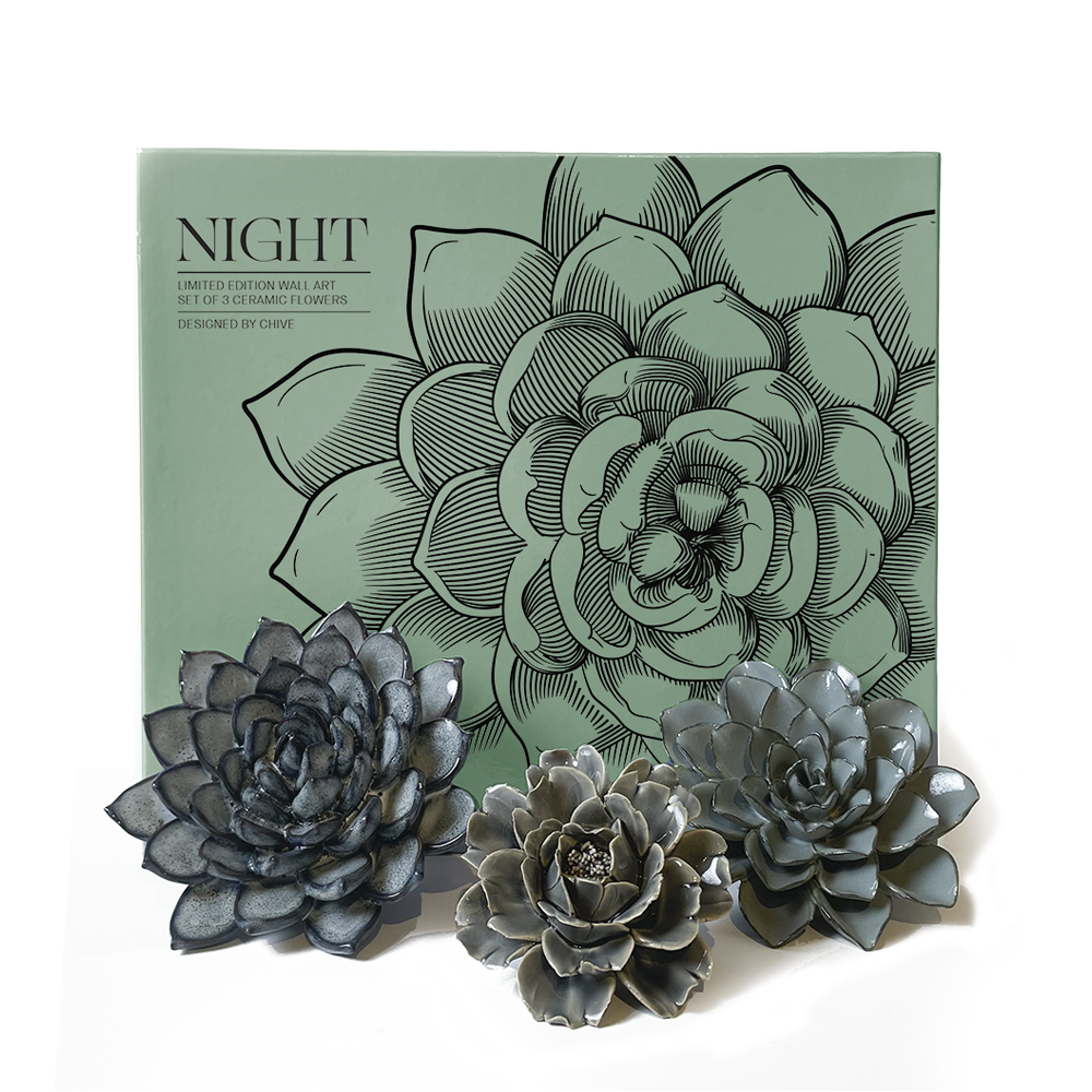 Ceramic Faux Succulents - Flower Gift Box Sets: Day