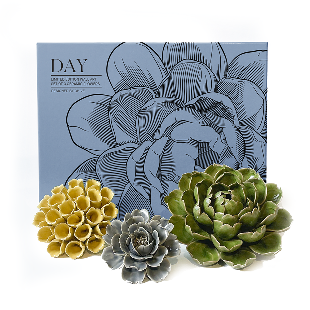 Ceramic Faux Succulents - Flower Gift Box Sets: Day