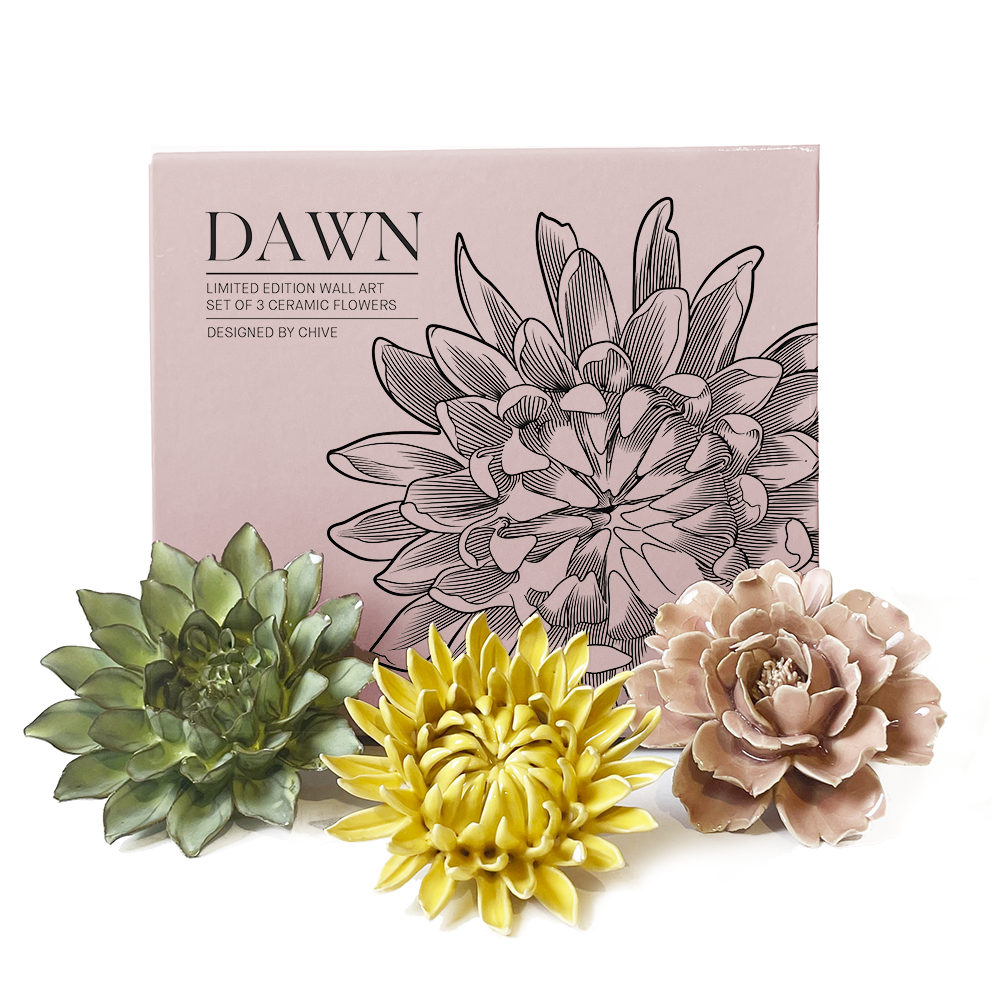 Ceramic Faux Succulents - Flower Gift Box Sets: Day