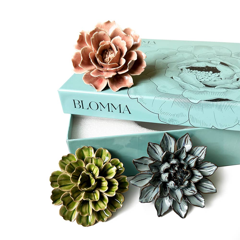 Ceramic Faux Succulents - Flower Gift Box Sets: Day