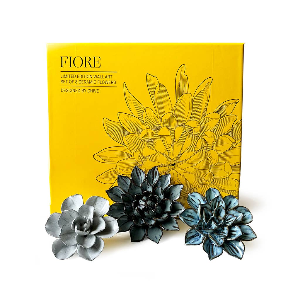 Ceramic Faux Succulents - Flower Gift Box Sets: Day