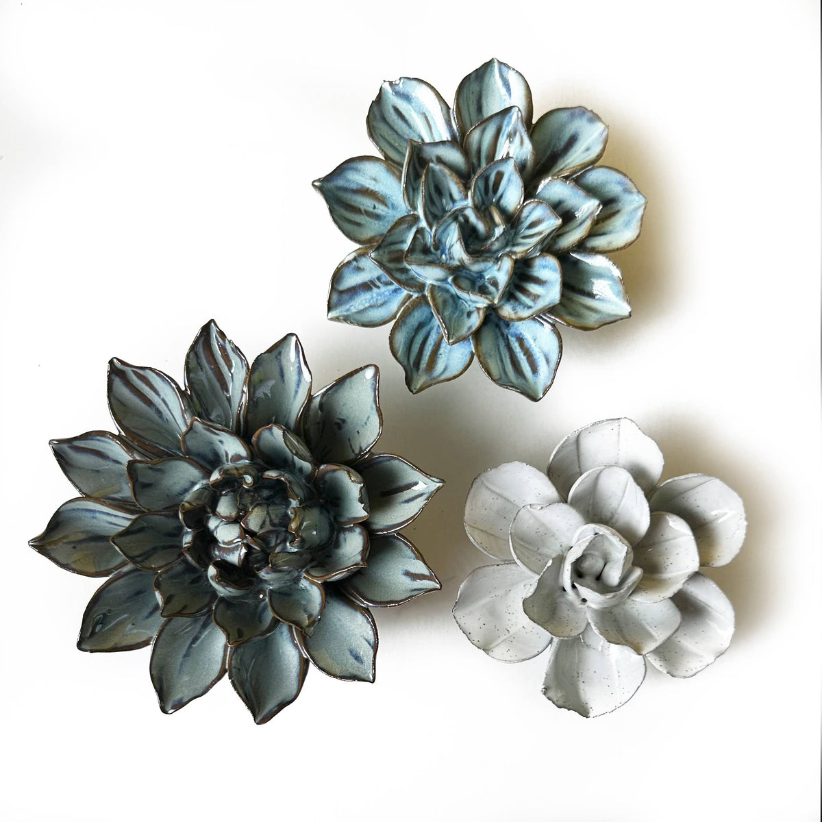 Ceramic Faux Succulents - Flower Gift Box Sets: Day