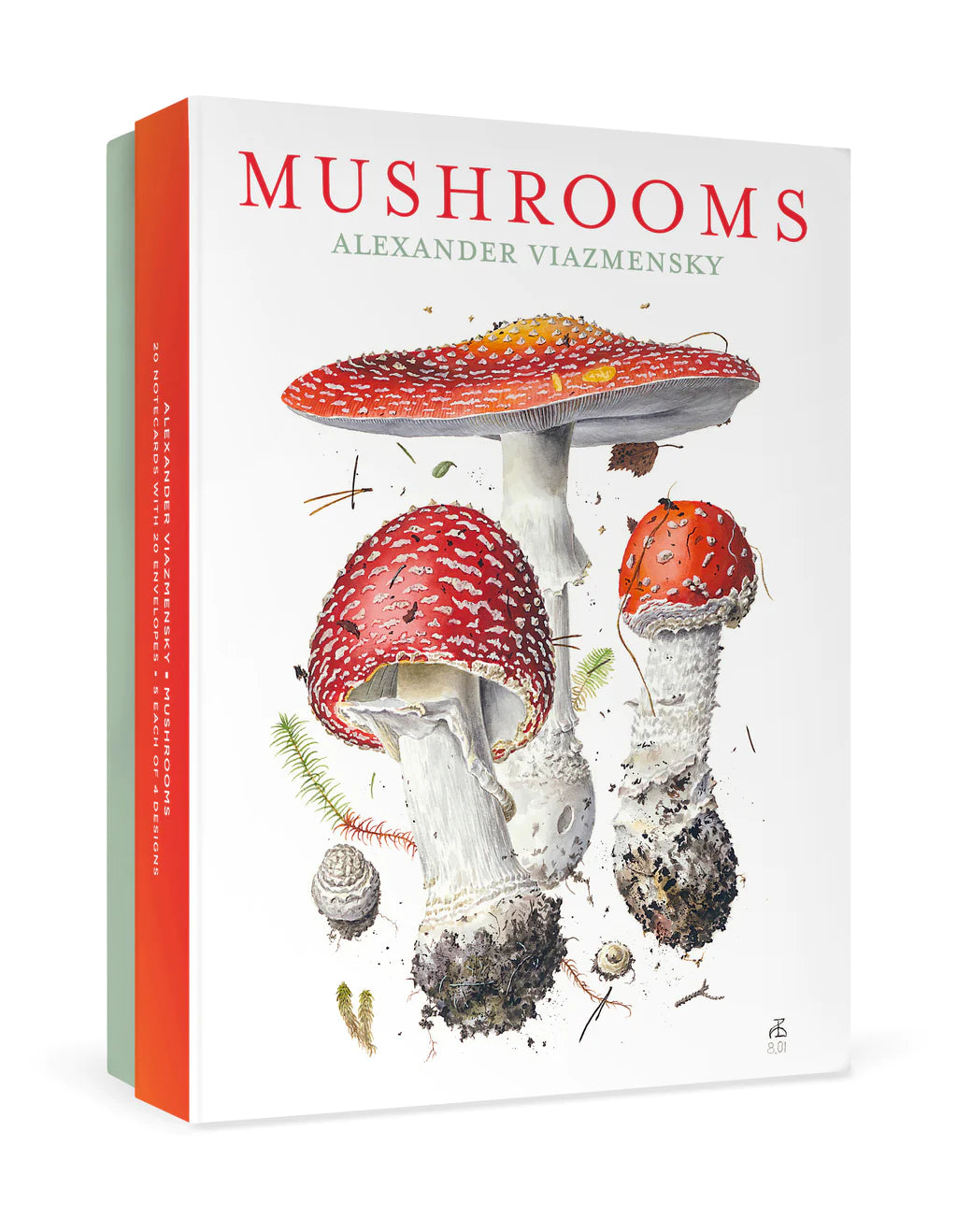 Mushrooms Boxed Notecards