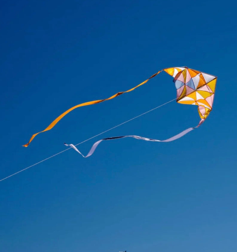 Fabric Delta Kite - Altair