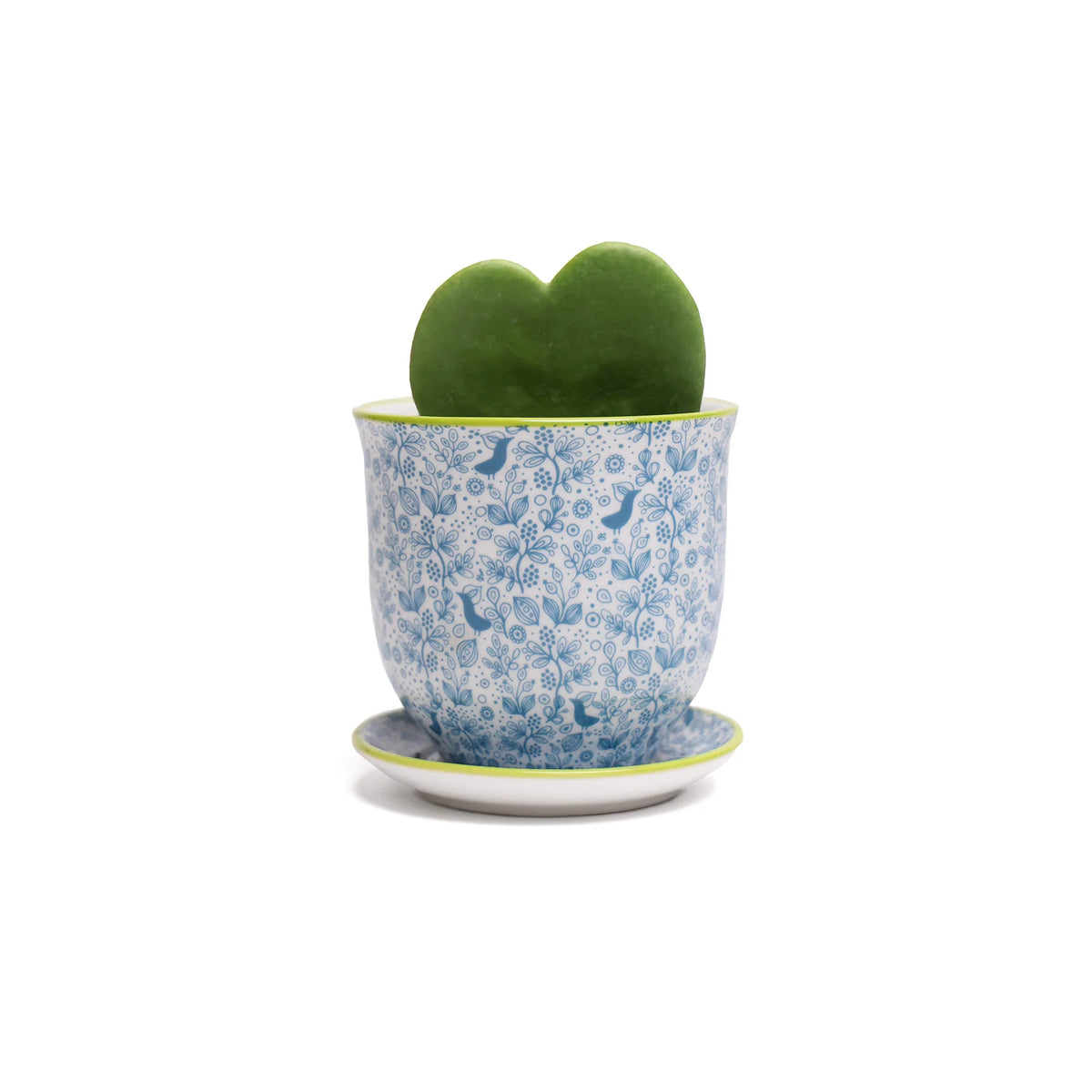 Liberte Indoor Porcelain Plant Pots