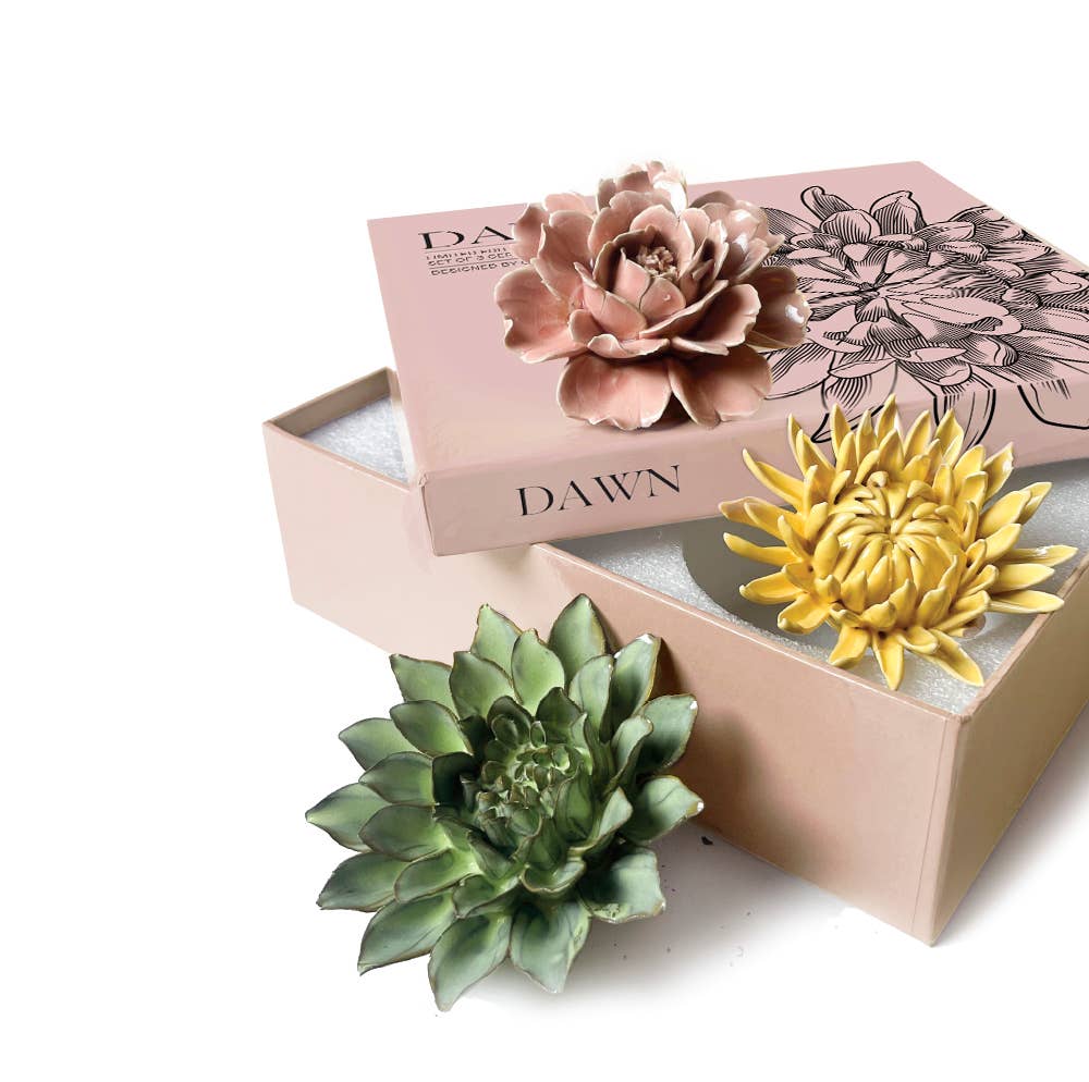 Ceramic Faux Succulents - Flower Gift Box Sets: Day