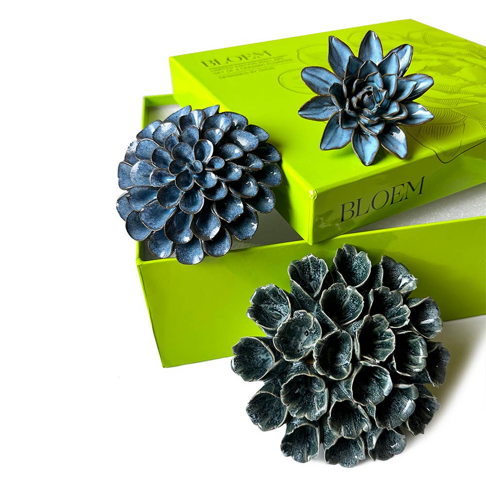 Ceramic Faux Succulents - Flower Gift Box Sets: Day