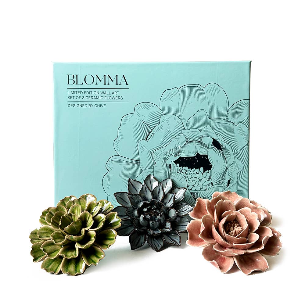 Ceramic Faux Succulents - Flower Gift Box Sets: Day