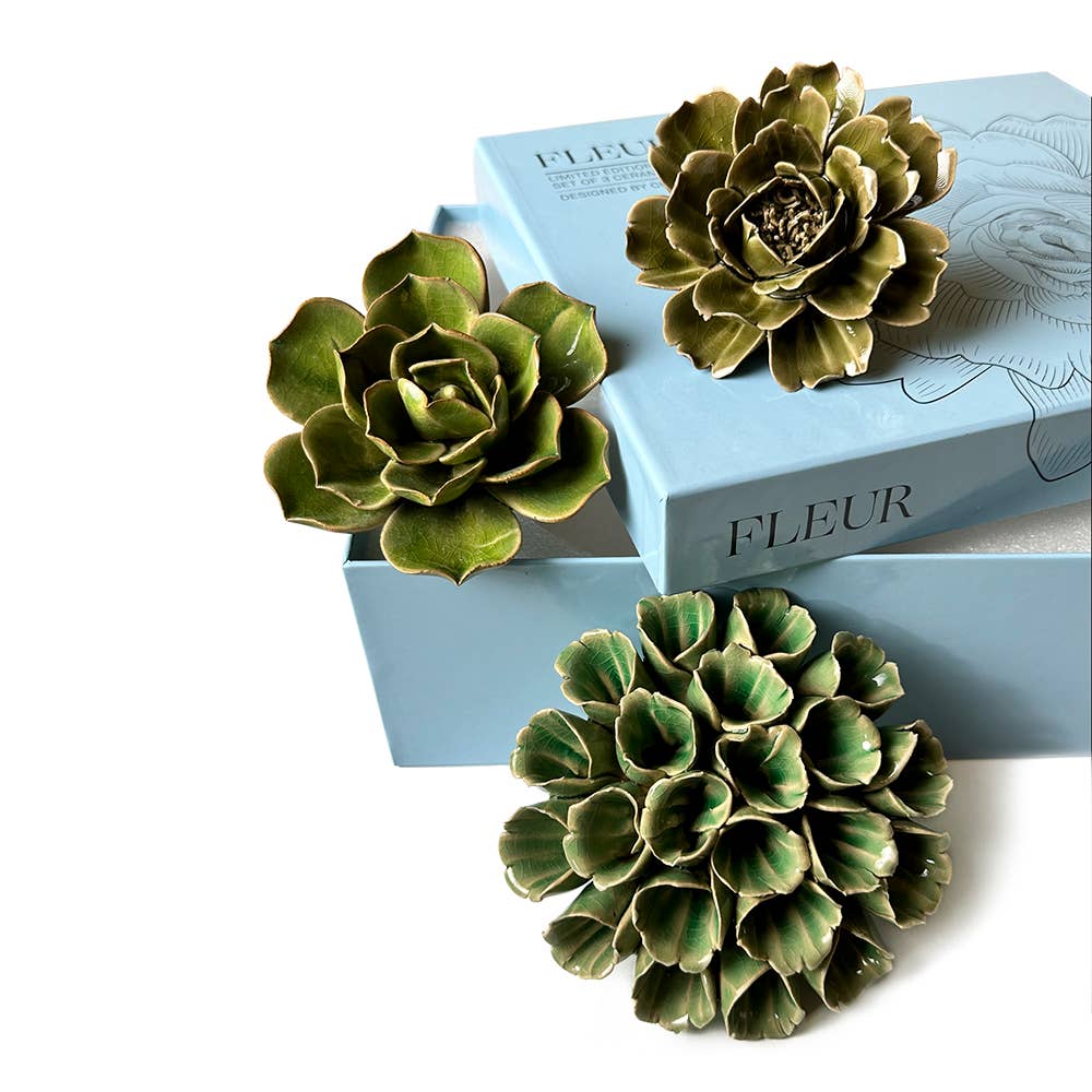 Ceramic Faux Succulents - Flower Gift Box Sets: Day