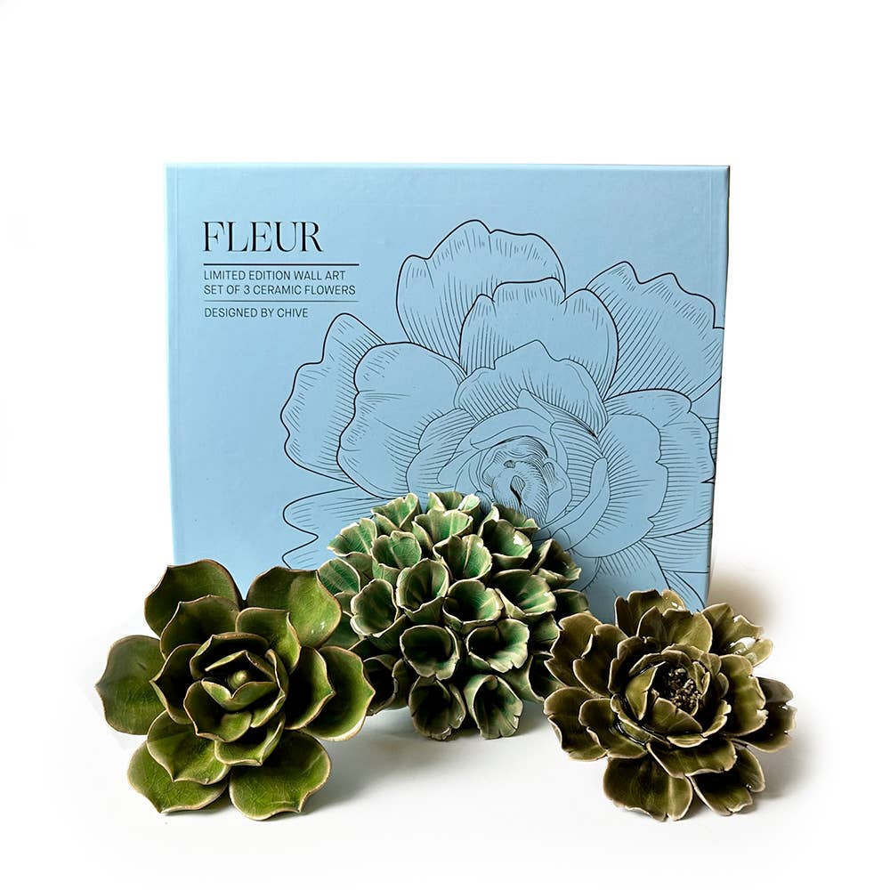 Ceramic Faux Succulents - Flower Gift Box Sets: Day