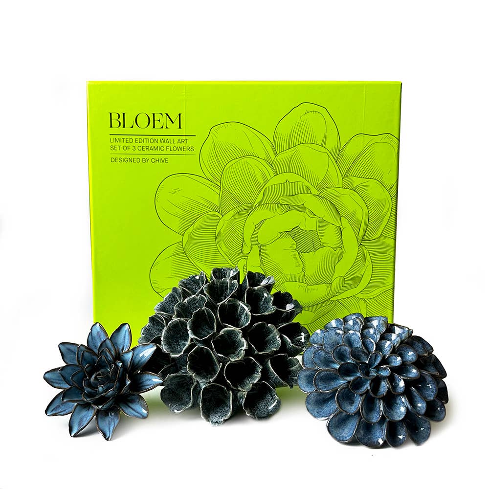 Ceramic Faux Succulents - Flower Gift Box Sets: Day