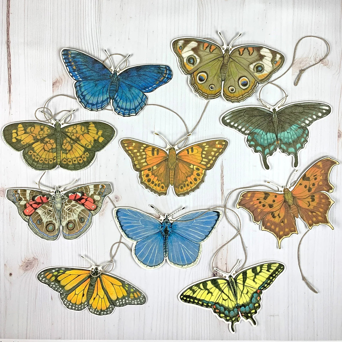 Eastern US Native Butterfly Garland