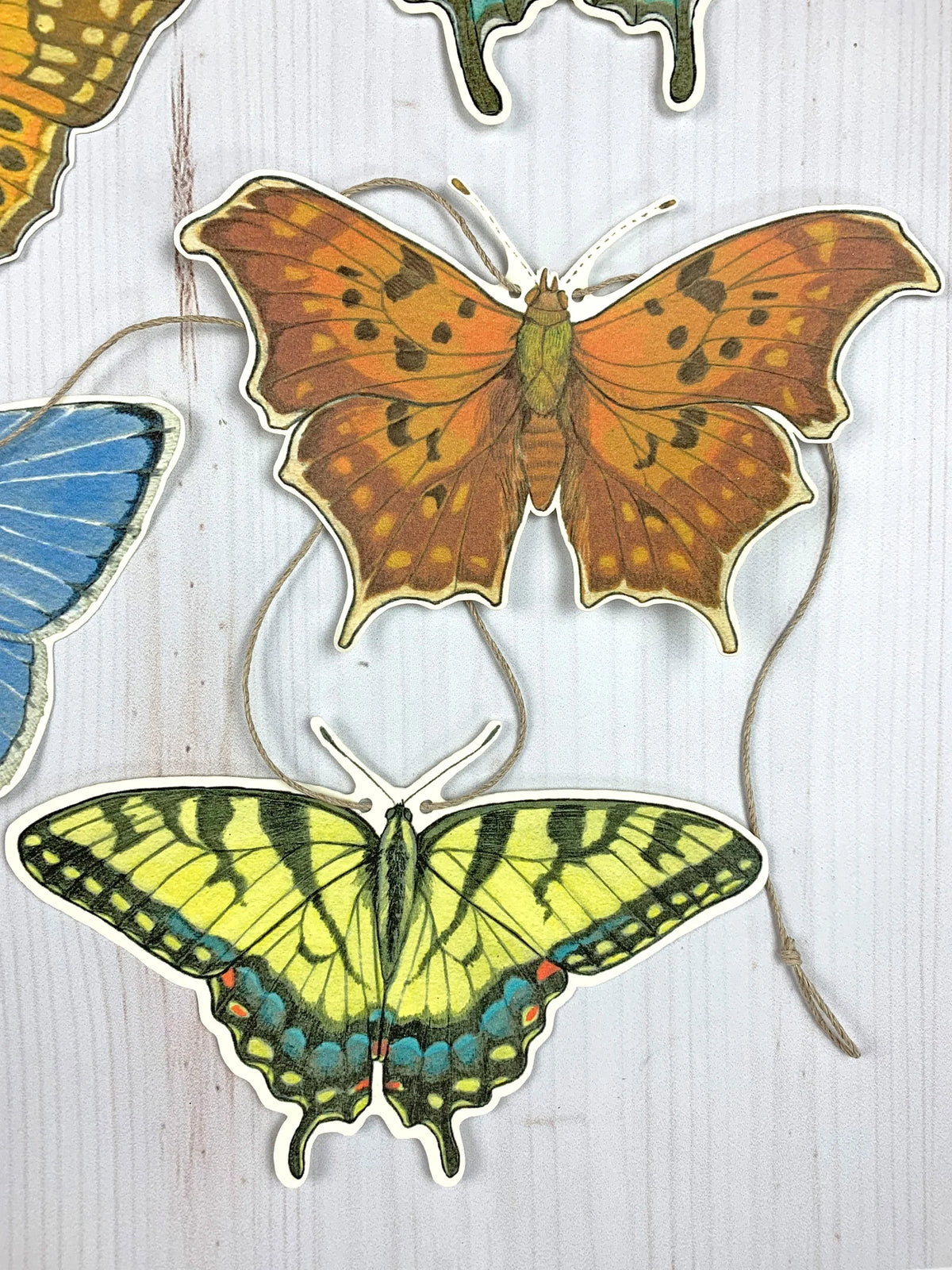 Eastern US Native Butterfly Garland