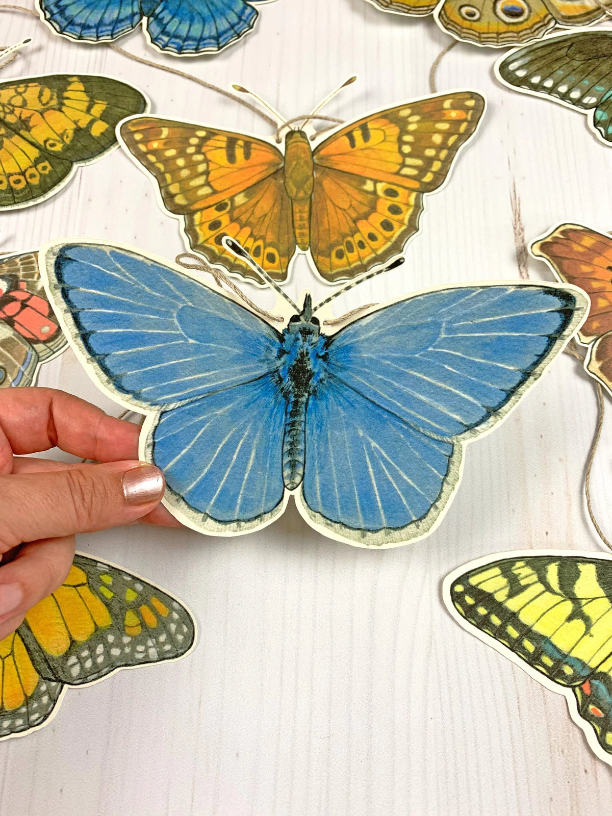 Eastern US Native Butterfly Garland